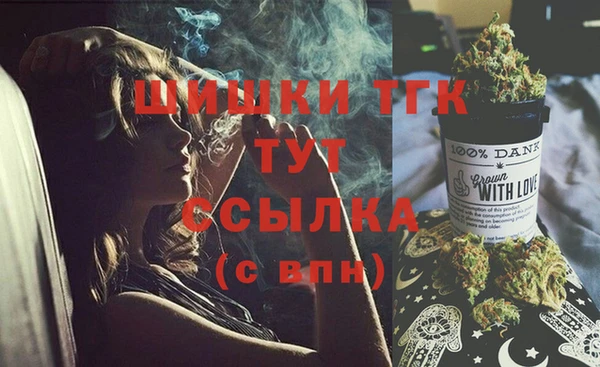 стафф Арсеньев