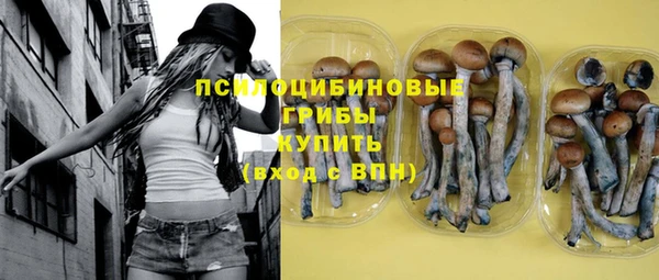 стафф Арсеньев