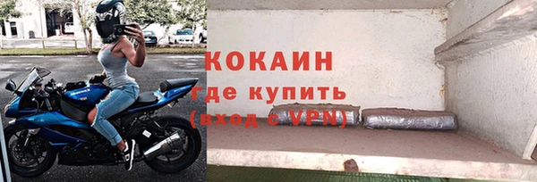 стафф Арсеньев