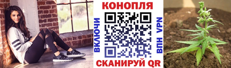 МАРИХУАНА MAZAR  Няндома 